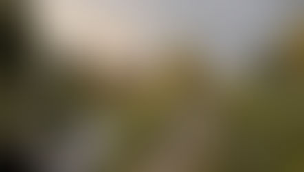 STIKLESTAD FOR NYE 100 ÅR- PLANNING PERMISSION