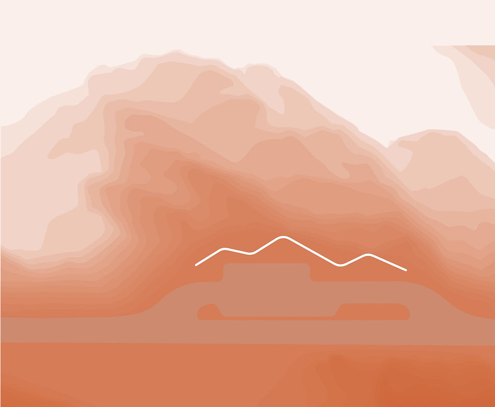 Adaptation to landscape and directions