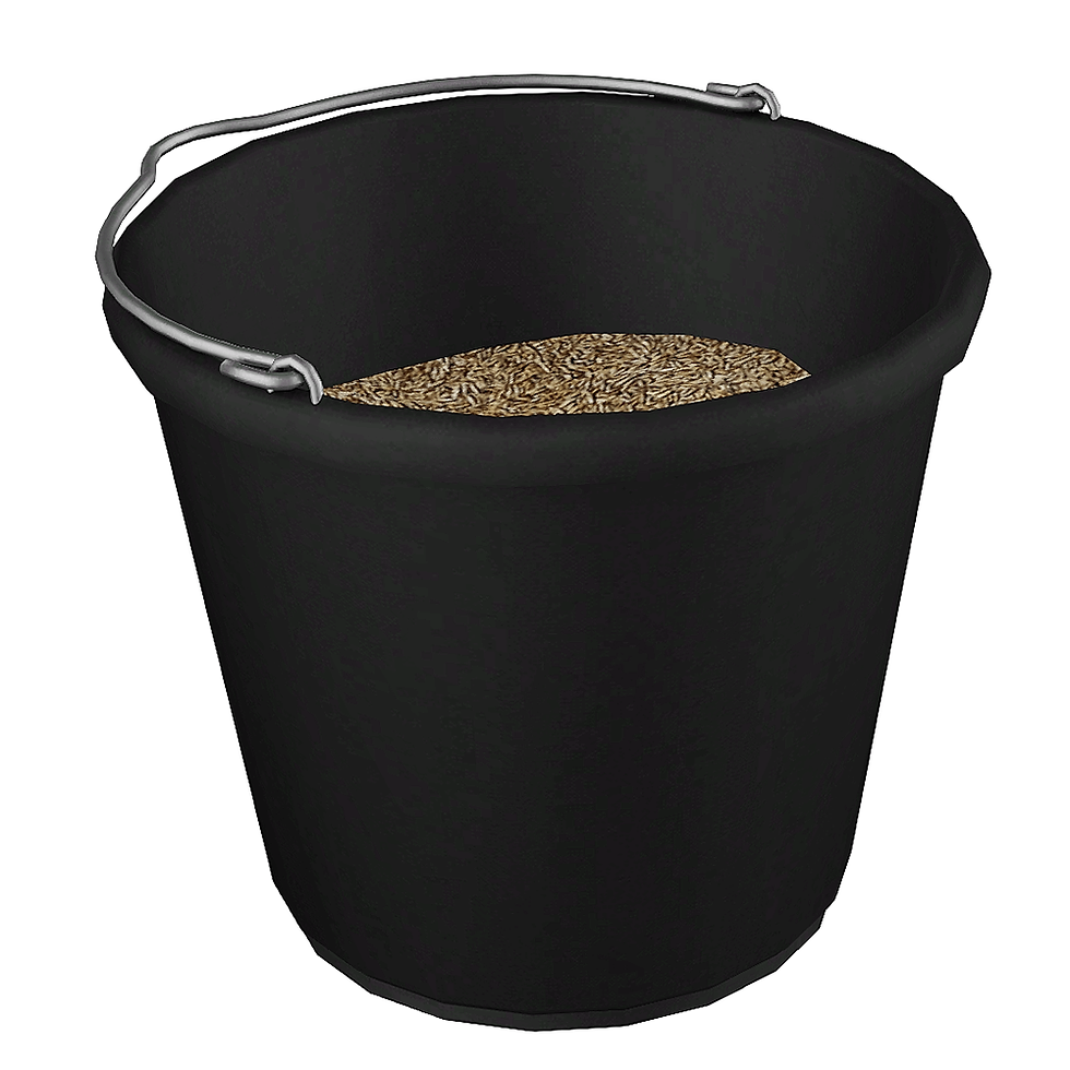 Thumbnail: I.H.T.LBasics - Medium Bucket