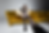NF_NG_2 copy.png