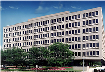 Screenshot 2025-07-11 at 12.39.45 PM.png