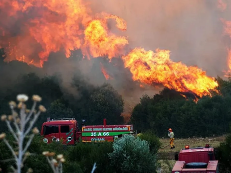 Türkiye’nin Yaz Felaketi: Orman Yangınları ve Kundaklama İddiaları