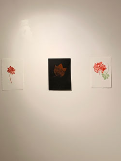 8.Impresiones de hojas