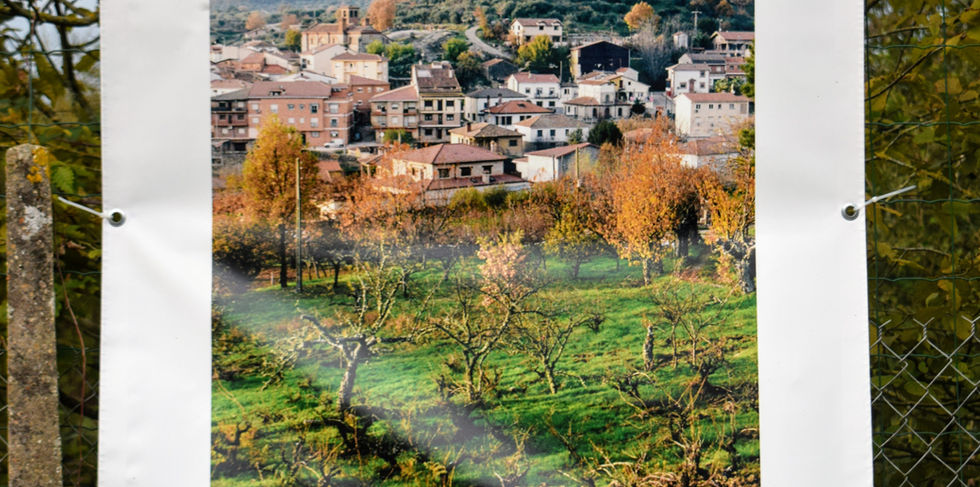 8vanessa martins.jpg