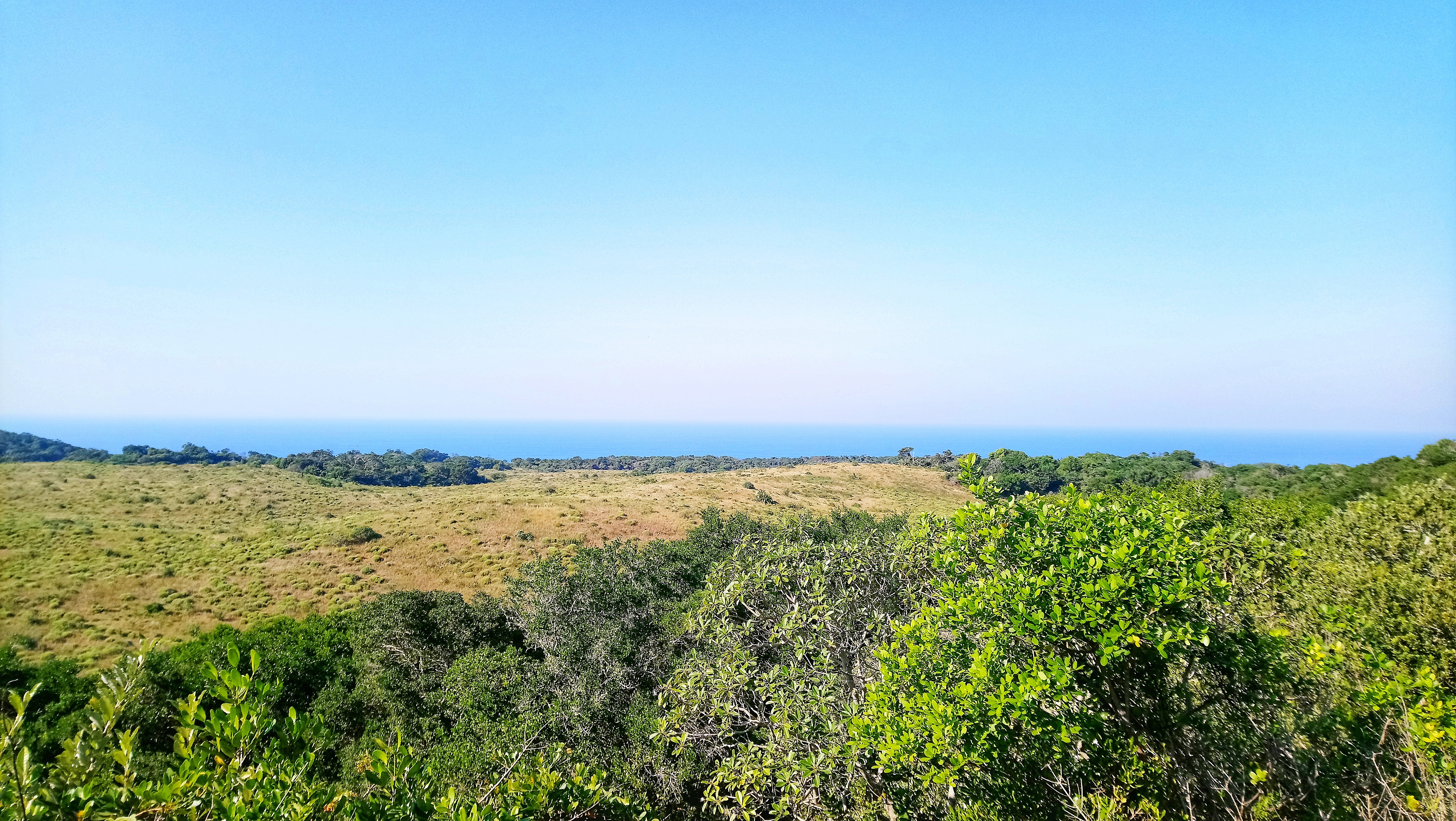 St Lucia Lodge isimangaliso wetland