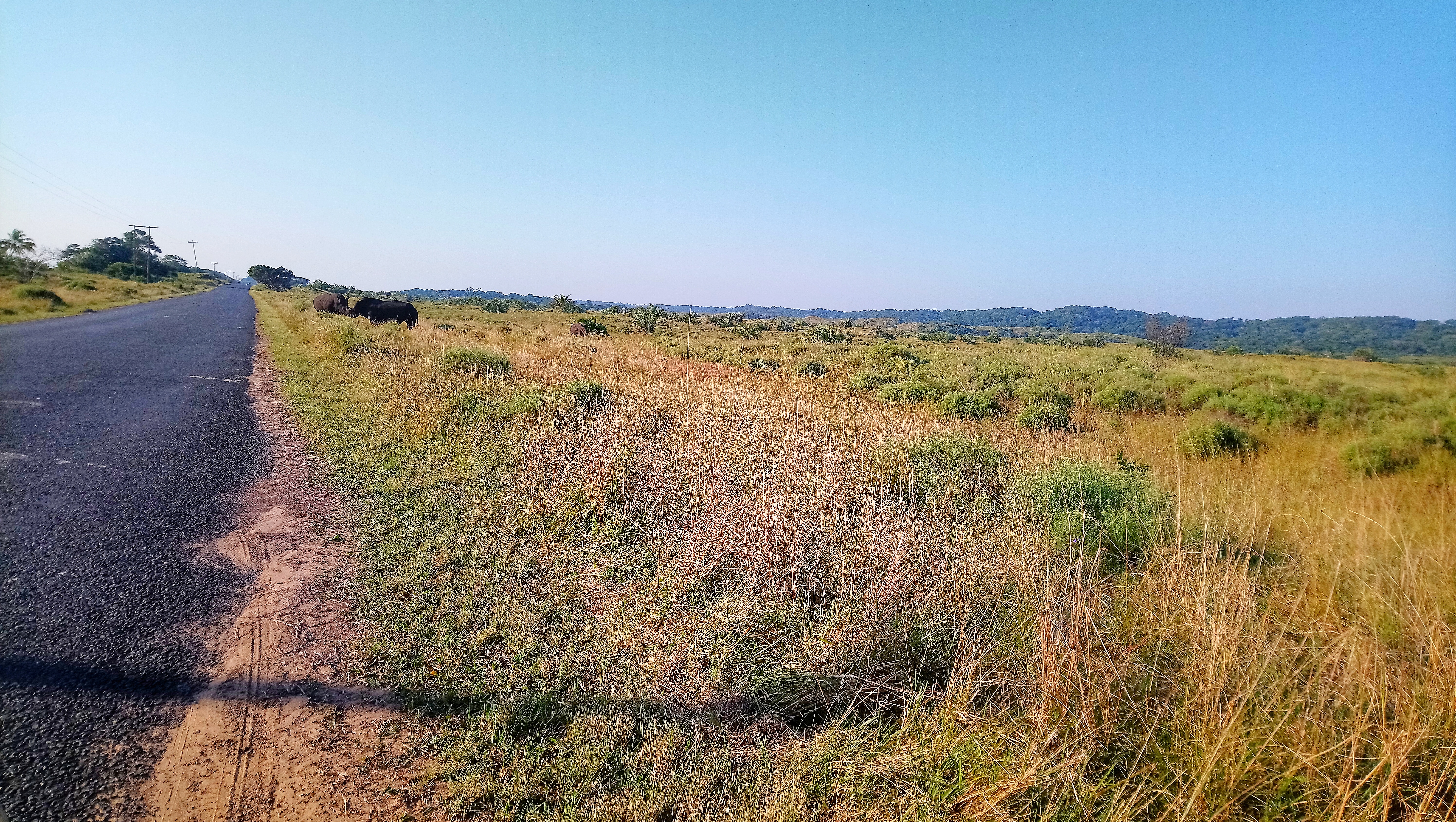 st lucia lodge, isimangaliso wetland