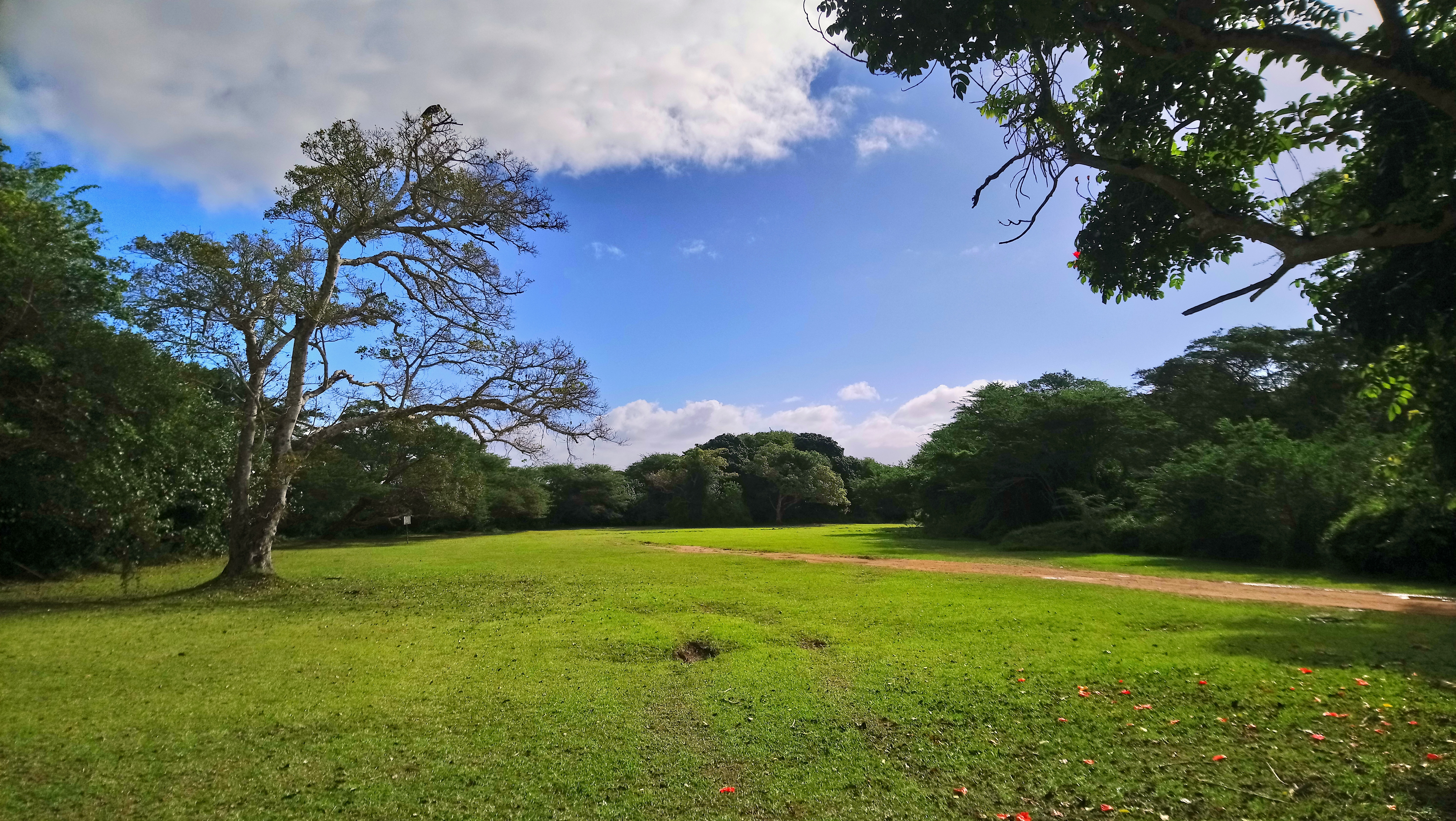 st lucia, nature walking