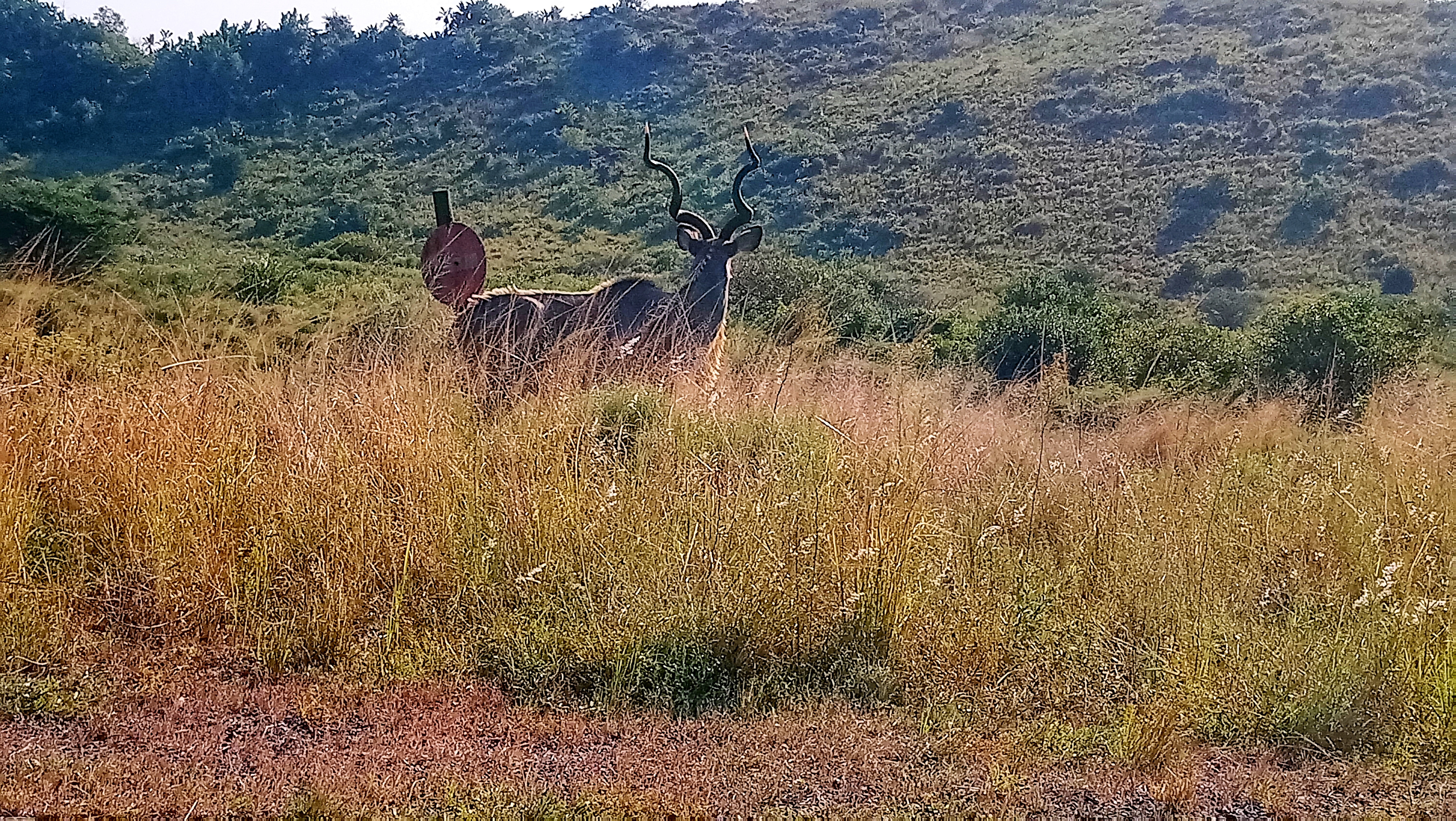 St Lucia Lodge isimanagaliso wetland