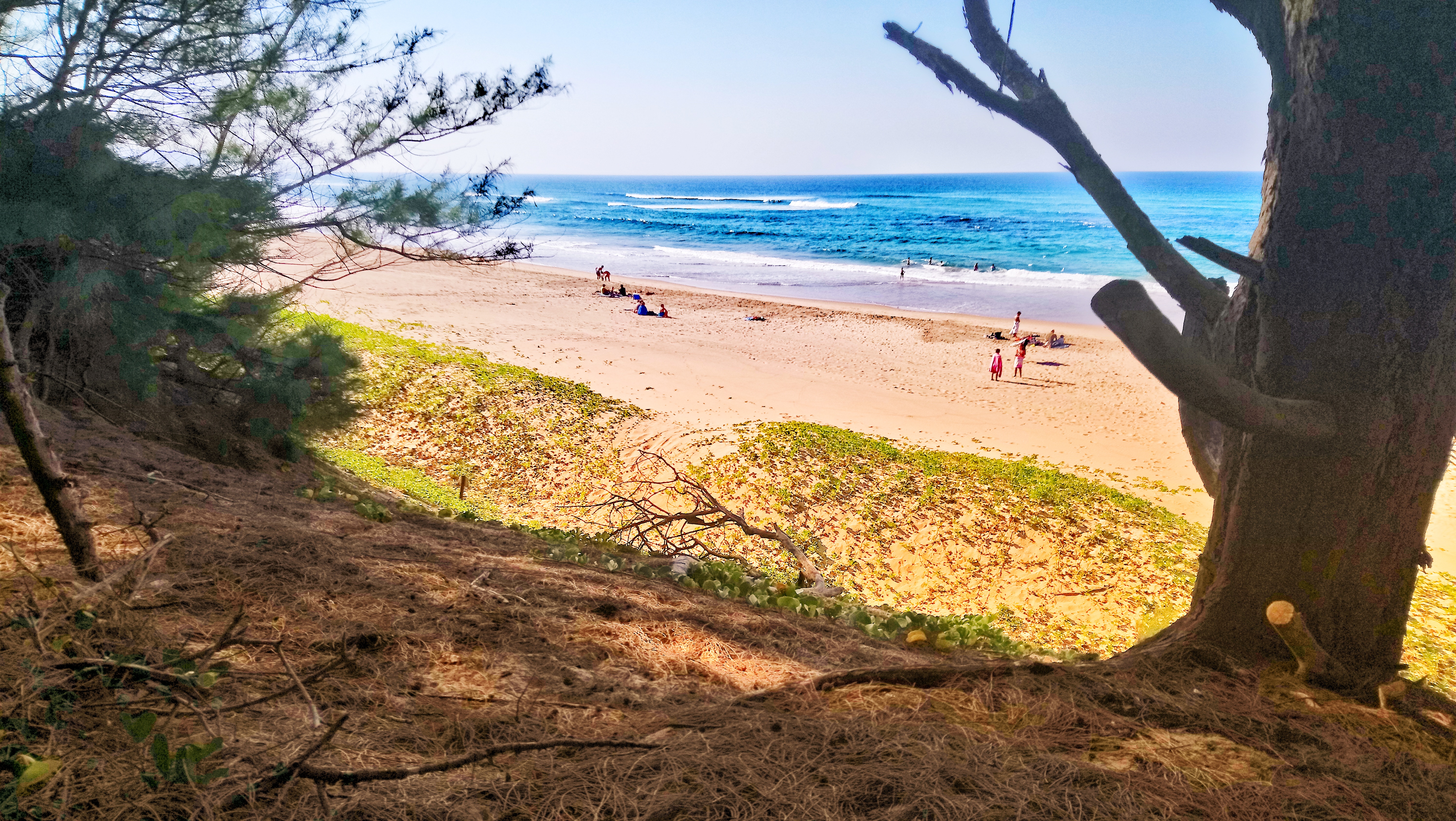 St Lucia Lodge Cape Vidal Dune