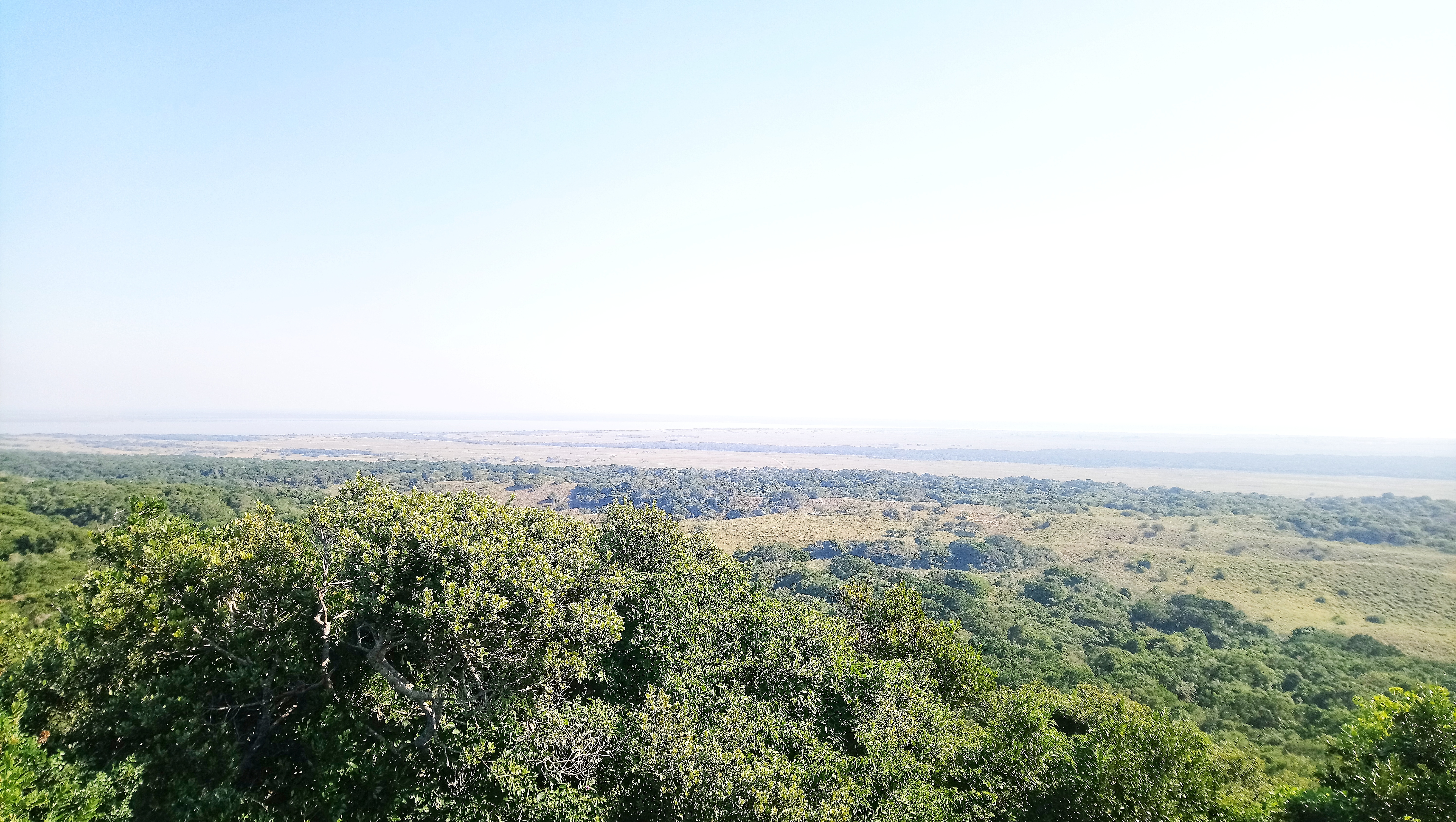 St Lucia Lodge iSimangaliso Weland P