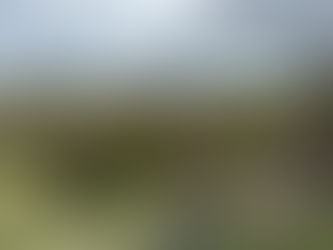 Scotland Day 8 - West Linton to East Calder