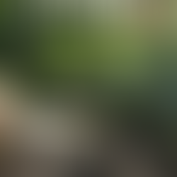 How Low Emission Adhesives Can Support the Paper Packaging Industry’s Compliance with the New EPR Legislation in North East States Starting in 2028 and 2030