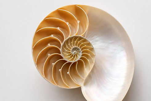 Spiral 1.png