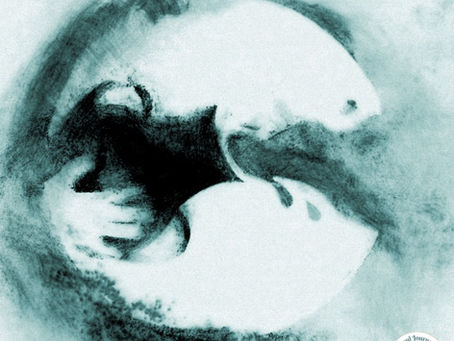 Aquarius - the water carrier