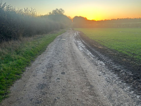 A long road to recovery