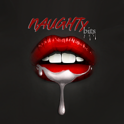 NAUGHTYbits Image.png