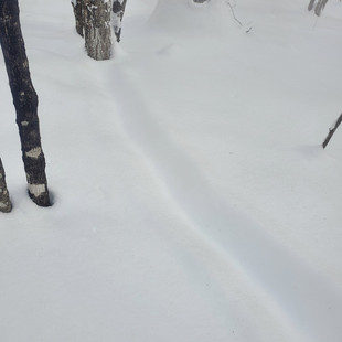 Resized-20211230-142421.JPEG