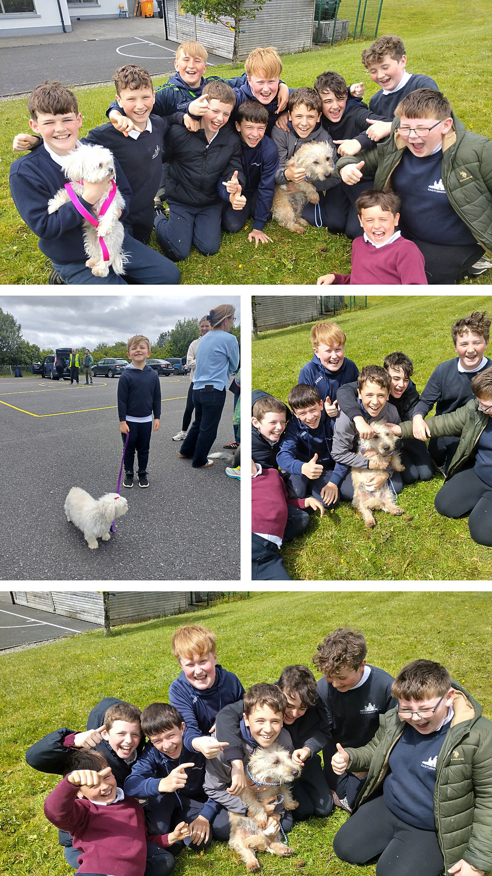 We welcomed our much loved pets to Castlerock on 12th June for our Pet Day - loads of fun with our dogs, cats, rabbits, turtles, chickens, & kittens