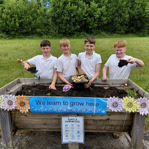 Getting the last bit of work out of our 6th class lads today harvesting our spuds!