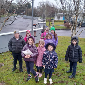 Our Junior pupils are participating in the Irish Garden Bird Survey this winter observing & recording birds that visit the school grounds.  Thanks to Bird Watch Ireland & Sligo  Co. Co.