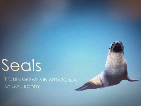 Exploring the Ice: A Visual Antarctic Presentation