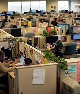 cubicle-office-space-stockcake.jpg