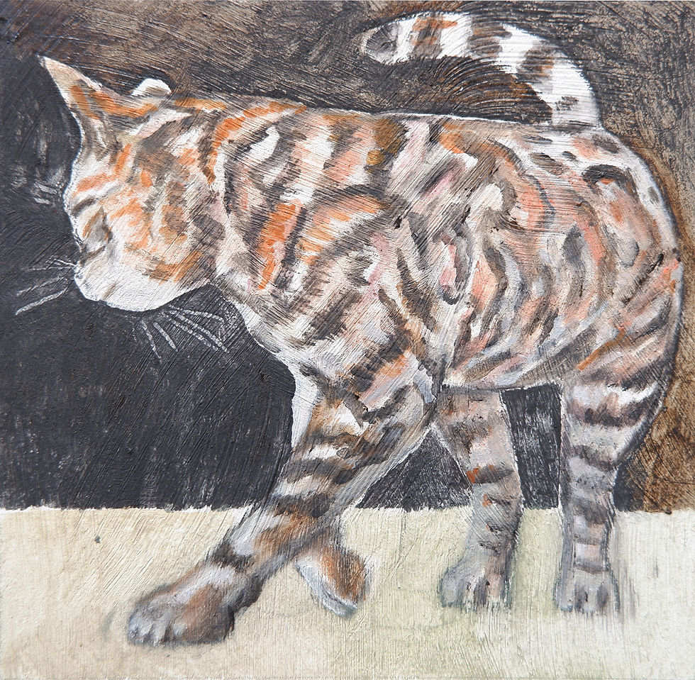 Thumbnail: cat (jewel case)