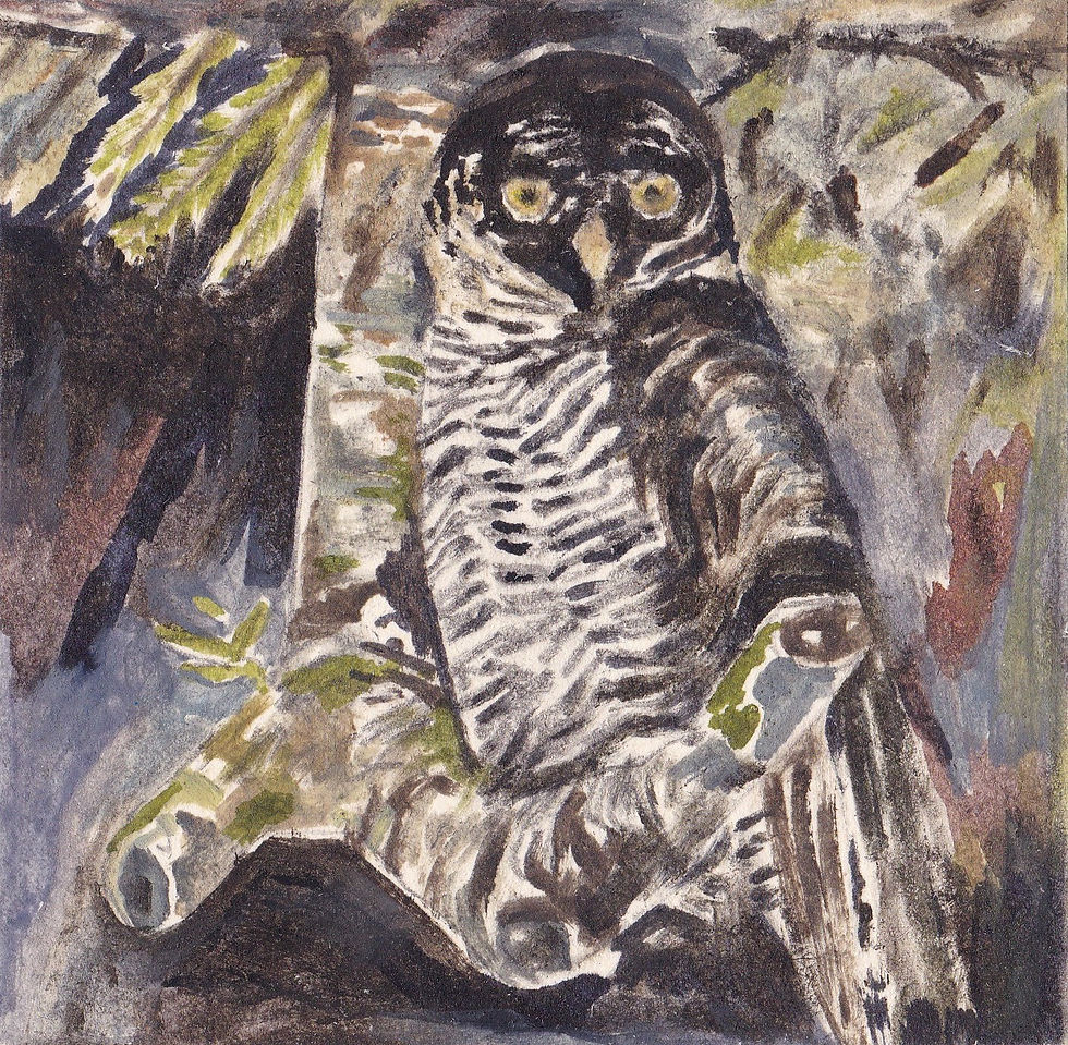 Miniaturbild: Eule (Juwelenhülle)