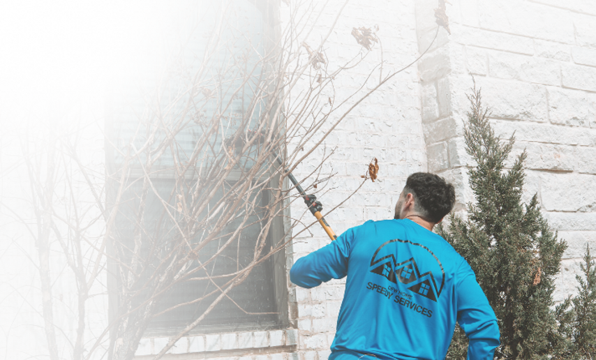 Presentations are tools that can be used as lectures, speeches, reports, and more. (13).pn