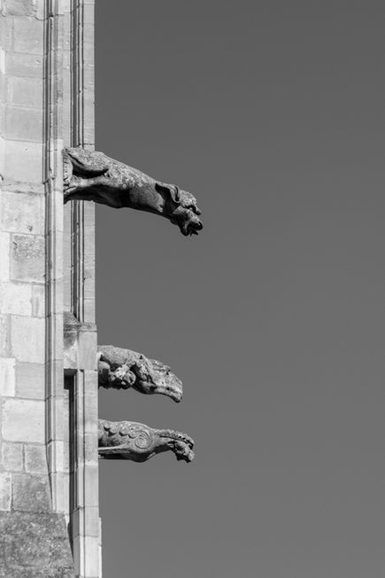 Cathédrale Saint-Étienne de Toulouse, Gargoyles