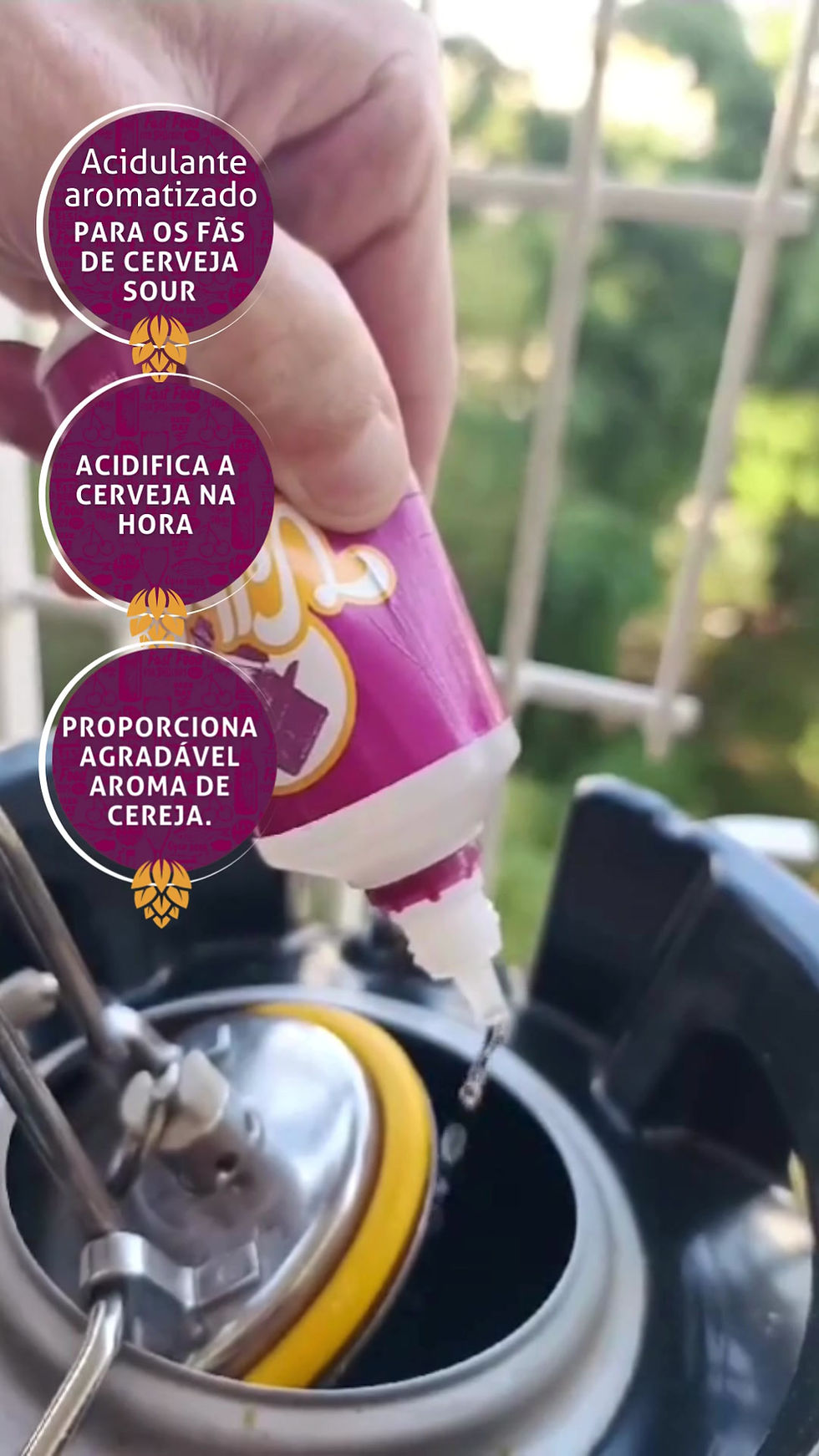 Miniatura: Velho Aça