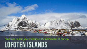 50 shades of Ice: Lofoten Islands