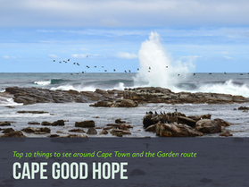 Le 10 cose da non perdere tra Cape Town e il Capo di Buona Speranza