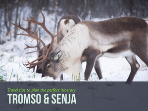 Norvegia: Tromsø & Senja road trip invernale - itinerario di 7 giorni 