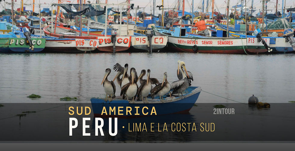 Gruppo di pellicani su una piccola imbarcazione nel porto di Paracas, Perù. Tipiche imbarcazioni tradizionali da pesca sullo sfondo
