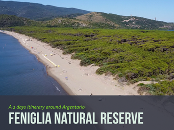Idee per un weekend estivo - Riserva Naturale della Feniglia (Argentario -Toscana)