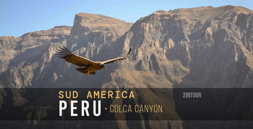 Condor in volo sul Colca canyon, Peru, con montagne rocciose sullo sfondo