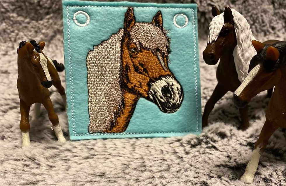 Miniaturbild: Pferd Gitti