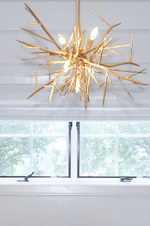 Capture One Catalog8161.jpg