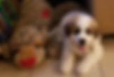 20181231_062809.jpeg