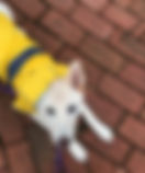 image1-2.jpeg