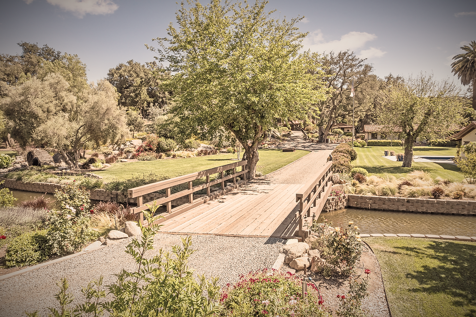 DJI_0163.jpg