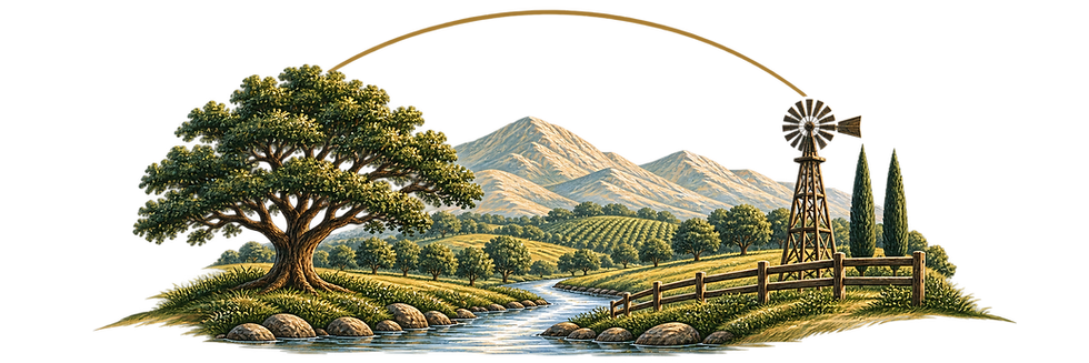 E8C573E6-4C8A-4C78-B44D-FB7723AA403D.png