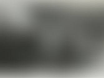 LA MAISON DE SANTÉ PASTEUR-LISTER - BEACONSFIELD