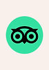 TripadvisorxMotherDesign_07.jpeg
