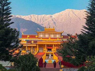 DELHI_DHARAMSALA 2.jpg
