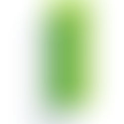 Green Brick Partners, Inc. (GRBK)