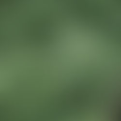 Morning Glory Session 2025/2026 : Une Nouvelle Saison Sous le Signe de la Qualité et du Terroir