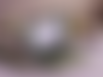 Nutritional Counseling and Massage Therapy Offered Online