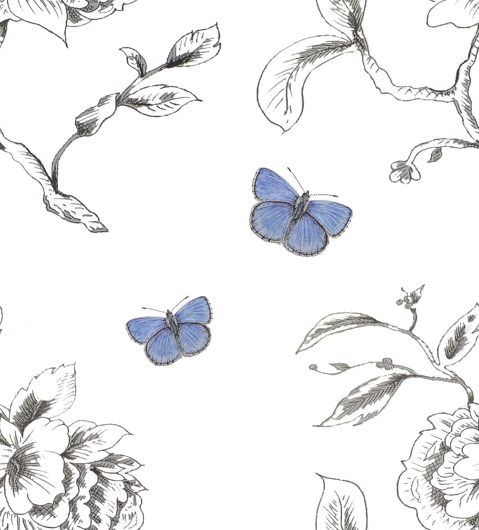 Butterfly Wallpaper